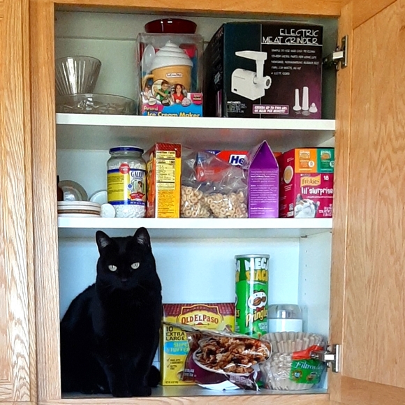 Meet your Posher, Leslie - Picture 4 of 4